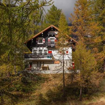 I Larici - Appartamento Per Sognare Alpe Devero Buitenkant foto
