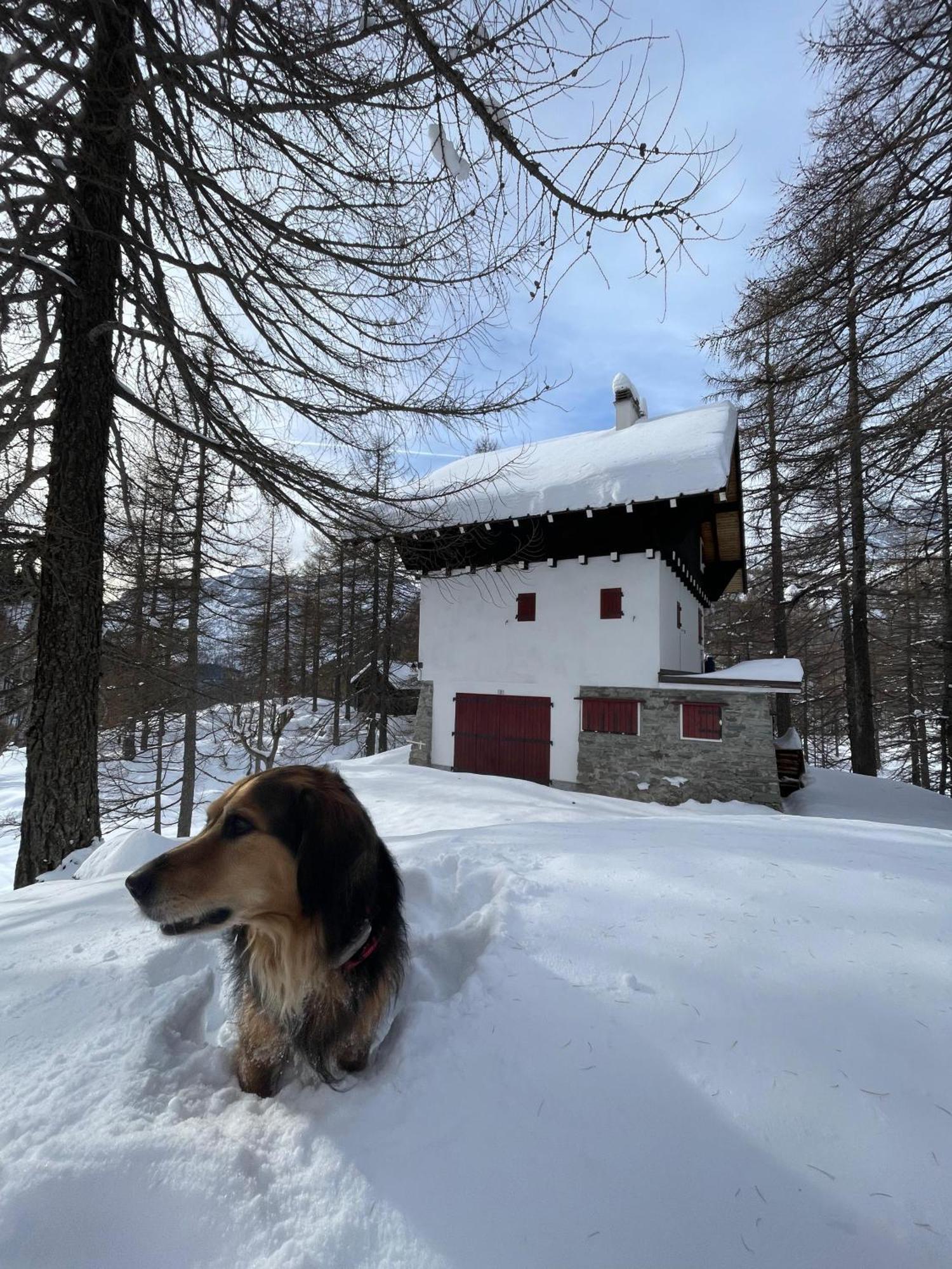 I Larici - Appartamento Per Sognare Alpe Devero Buitenkant foto